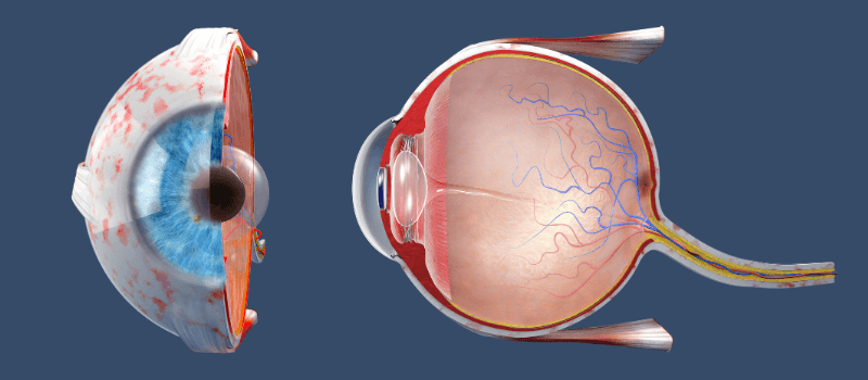 Cornea -C3R/ Pentacam